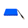 LiFePO4 Battery Pack 18500CR1S6P